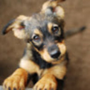 Meet your Posher, Brooklyn